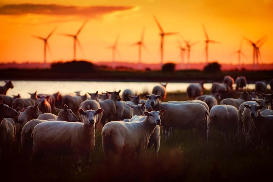 Settore energetico e ambiente